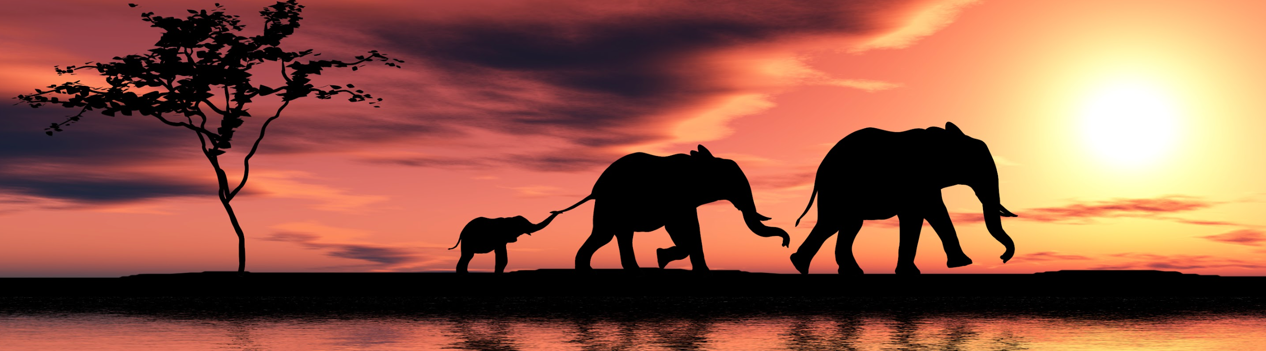 Diamond paint billede med 3 elefanter på række, der går tur i solnedgang.