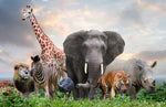 Diamond paint af en dyrelok bestående af: Elefant, tiger, giraf, løve, emu, zebra og næsehorn.