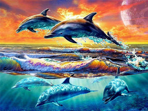 Dyr, Delfin, Delfiner, Koralrev, Koral, Klovnefisk, Søstjerne, Vand, Hav, Palmer