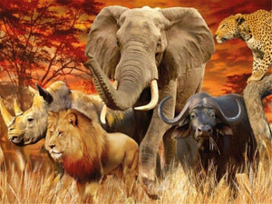Dyr, Dyreflok, Flok, Elefant, Løve, Næsehorn, Okse, Leopard, Savanne