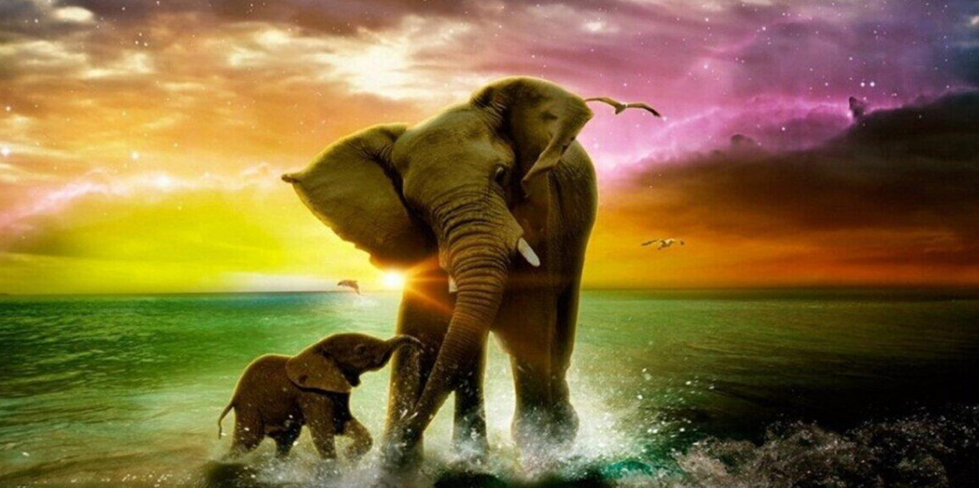 Elefanter i vandkant