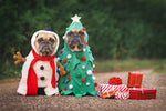 Diamond paint af to hunde iklædt julekostumer. den ene er klædt ud som snemand og den anden som juletræ.