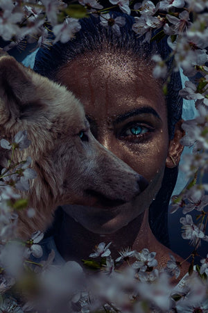 Diamond paint af kvinde med blå øjne omgivet af hvide blomster og en ulv.