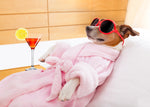 Diamond painting af en lille hund i morgenkåbe og solbriller, der slapper af med en cocktail.