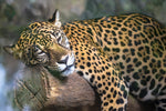 Diamond painting af en leopard der hviler på en træstamme.