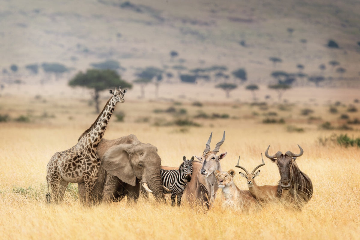 Diamond painting af samlet dyreflok på savannen- Giraf, zebra, elefant mm.