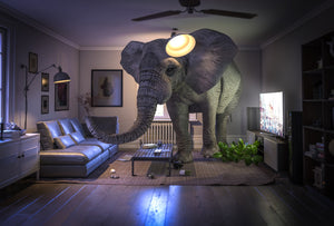Diamond painting af en elefant i en stue. Symboliserer udtrykket: The elephant in the room.