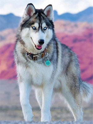 Diamond painting af grå og hvid ulvehund i lyserødt og blåt bjerglandskab.