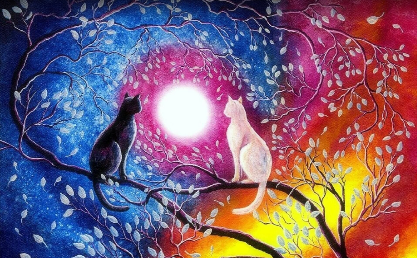 Diamond painting af to katte i et træ. en hvid og en sort kat. Farverig baggrund mod mørkt træ.