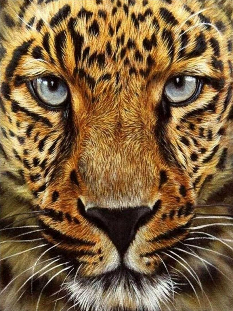 Diamond paint af en leopard helt tæt på. Smuk pels og lyseblå øjne.