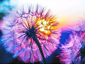 Diamond paint af mælkebøtte i solnedgang. Lilla, blå og gule toner.