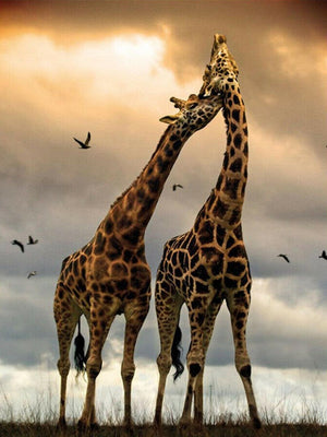 Diamond paint af giraffer der nusser. Himmel og fugle i baggrunden.