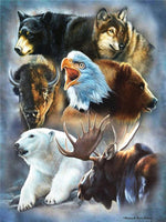 Dyr, Ørn, Bjørn, Ulv, Elg, Isbjørn, Bison