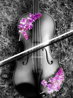 Violin, Instrument, Musikinstrument, Blomster, Syren, Sort/hvid, Musik