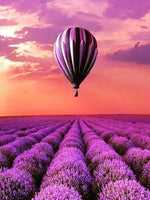Natur, Luftballon, Lilla, Lavendel, Mark, Blomster, Aften, Himmel, Skyer, Blomstereng, Lavendelmark
