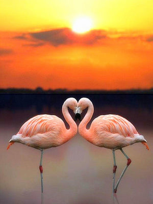 Dyr, Flamingo, Flamingoer, Hjerte, Kærlighed, Solnedgang, Solopgang, vand, Hav