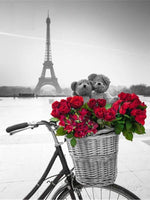 By, Eiffeltårnet, Cykel, Cykelkurv, Bamser, Roser, Rød, Sort/hvid, Paris, Frankrig