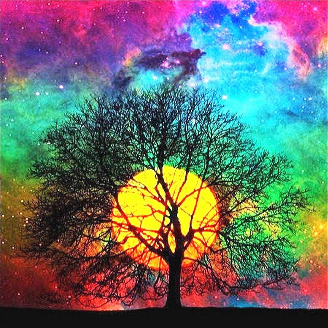 Træ, Multifarvet, Sol, Solopgang, Solnedgang, Stjerner, Stjernehimmel