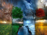 Landskab, Natur, Årstid, De 4 årstider, Træ, Træer, Forår, Sommer , Vinter, Efterår