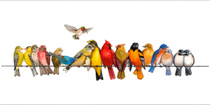 "Birds on a wire" - fugle på række