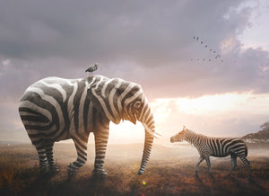 Fantasifuldt diamond paint af en elefant, en fugl og en zebra, der alle er zebrastribede.